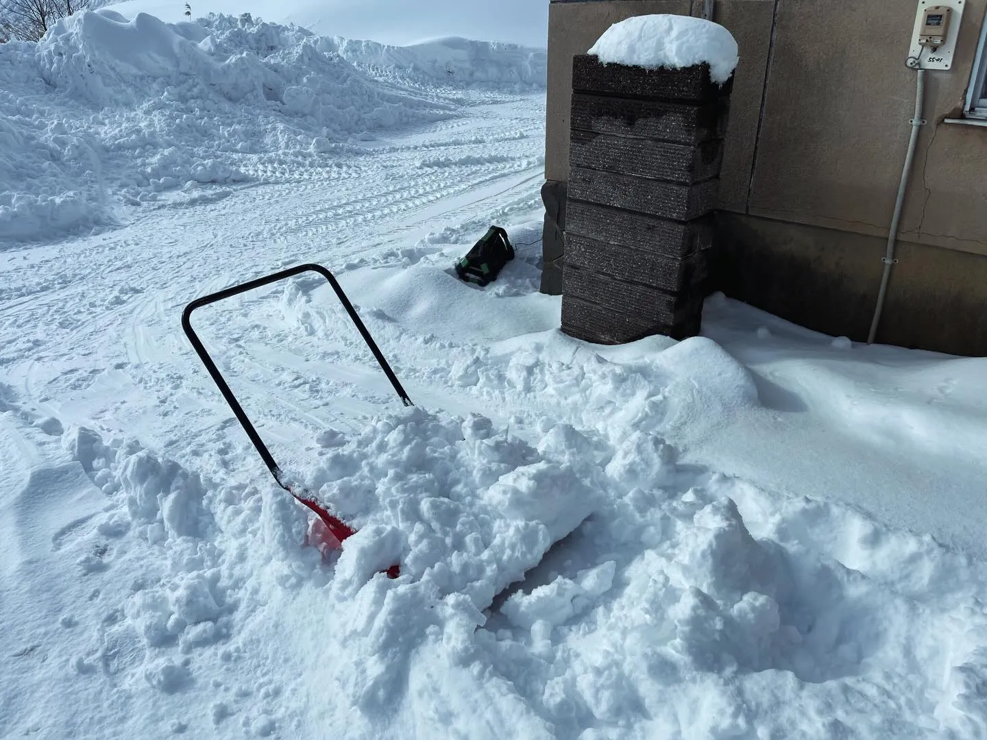 か〜ん〜波〜!!!